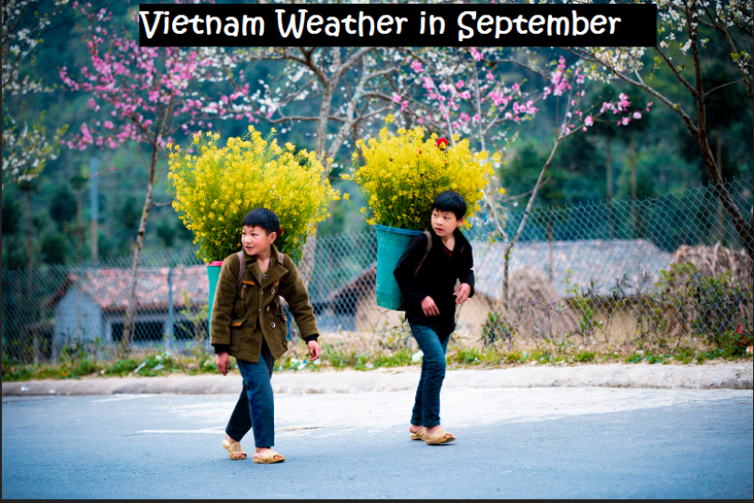 Vietnam In September: Weather, Where To Go, What To See, Itinerary And FAQ Vietnam In September: Weather, Where To Go, What To See, Itinerary And FAQ